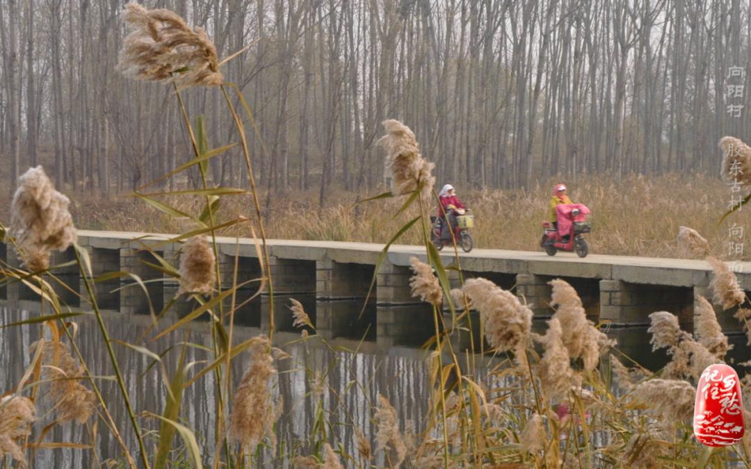 向阳而生编导,向阳而生主持稿