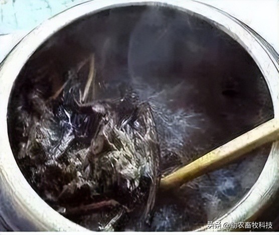 中药发酵技术能提高药效吗,发酵中药的优势