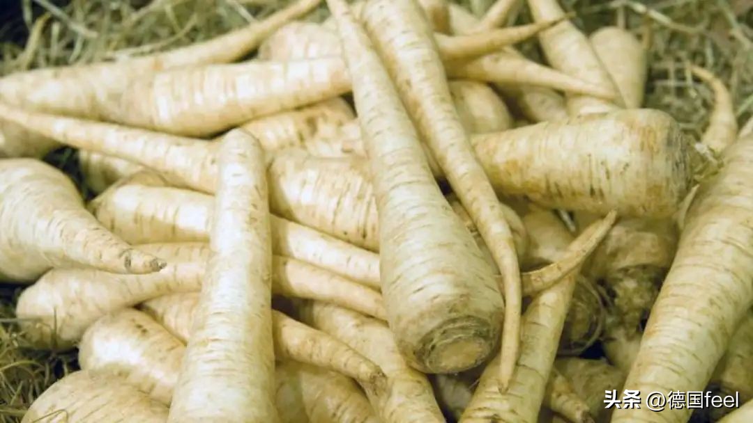 小知识超市,德国蔬菜有哪些