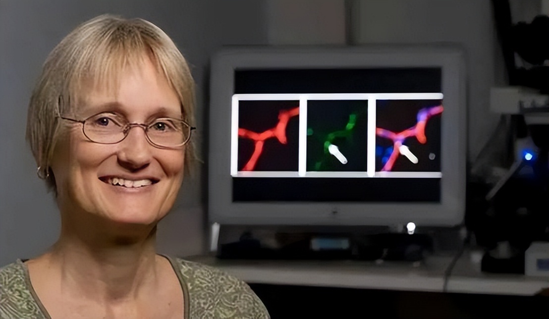 美国大脑控制实验,美国科学家徒手核试验