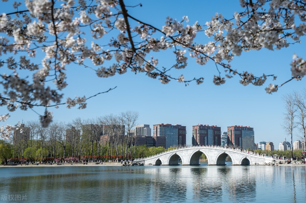 海淀区文旅局官网,文旅海淀第五期