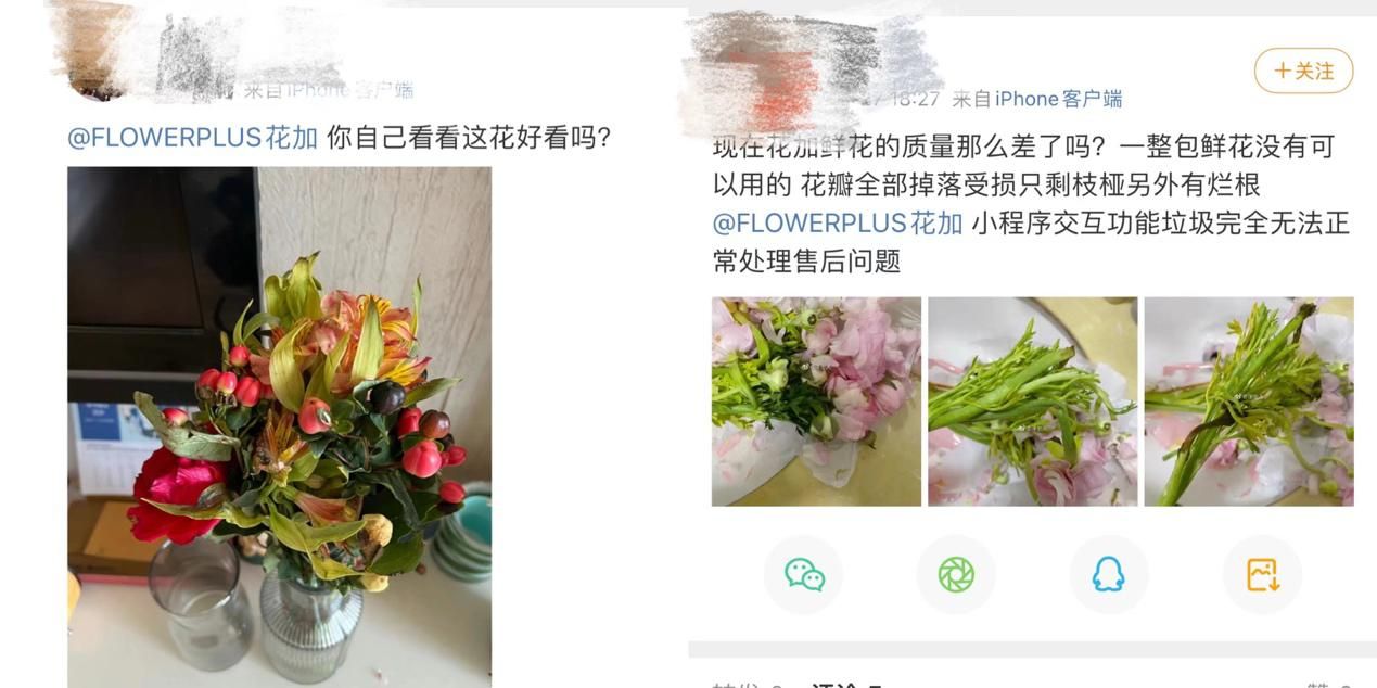 疫情下鲜花平台陷入窘境：有消费者订花被延期近一个月