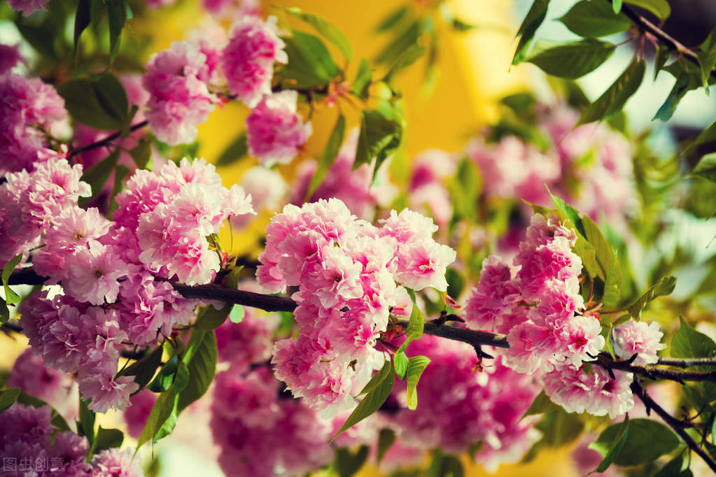 人老了才明白，兄弟之间结仇，是有原因的