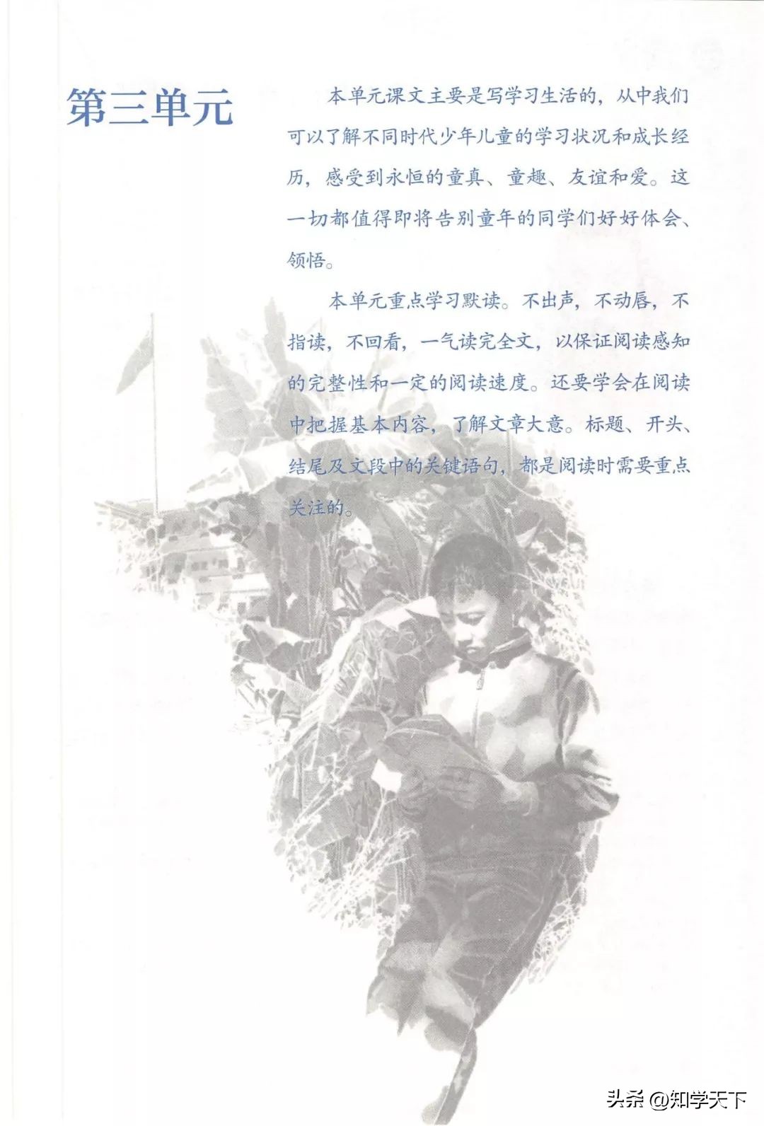 人教版七年级上册语文电子课本pdf,九年级上册语文电子课本高清pdf