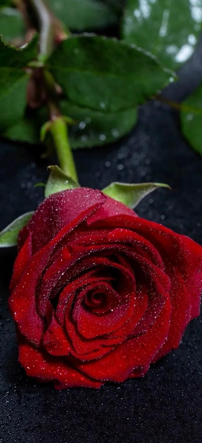 手机壁纸大全超好看动态,壁纸超清4k手机壁纸男生专用