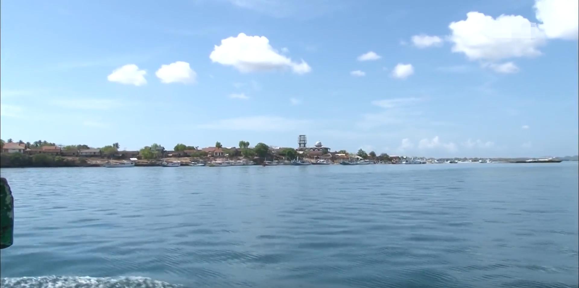 渔民捕获虎鲨,真实渔民钓到的虎鲨