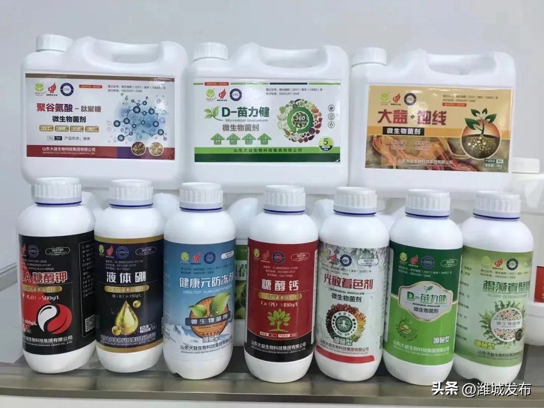 企业敢拼敢闯敢干,企业敢闯敢干