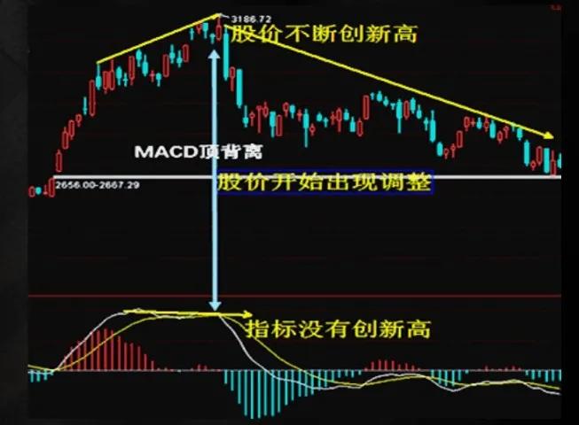 炒股必学基础知识,炒股基础知识入门教学