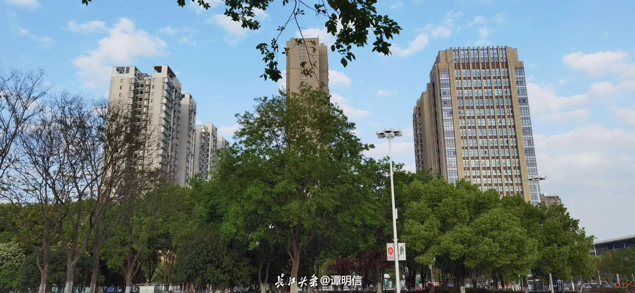 当初买基金的感受,买基金为自己加薪作者