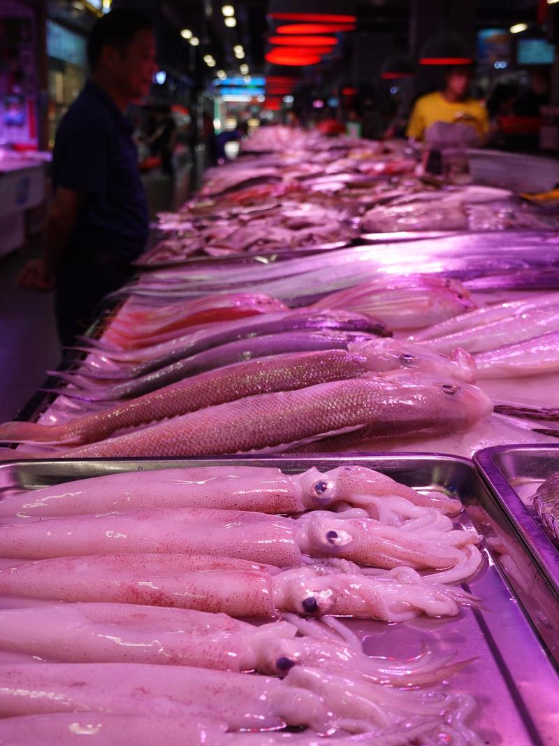 深圳ENJOY｜城市漫游指南·蛇口