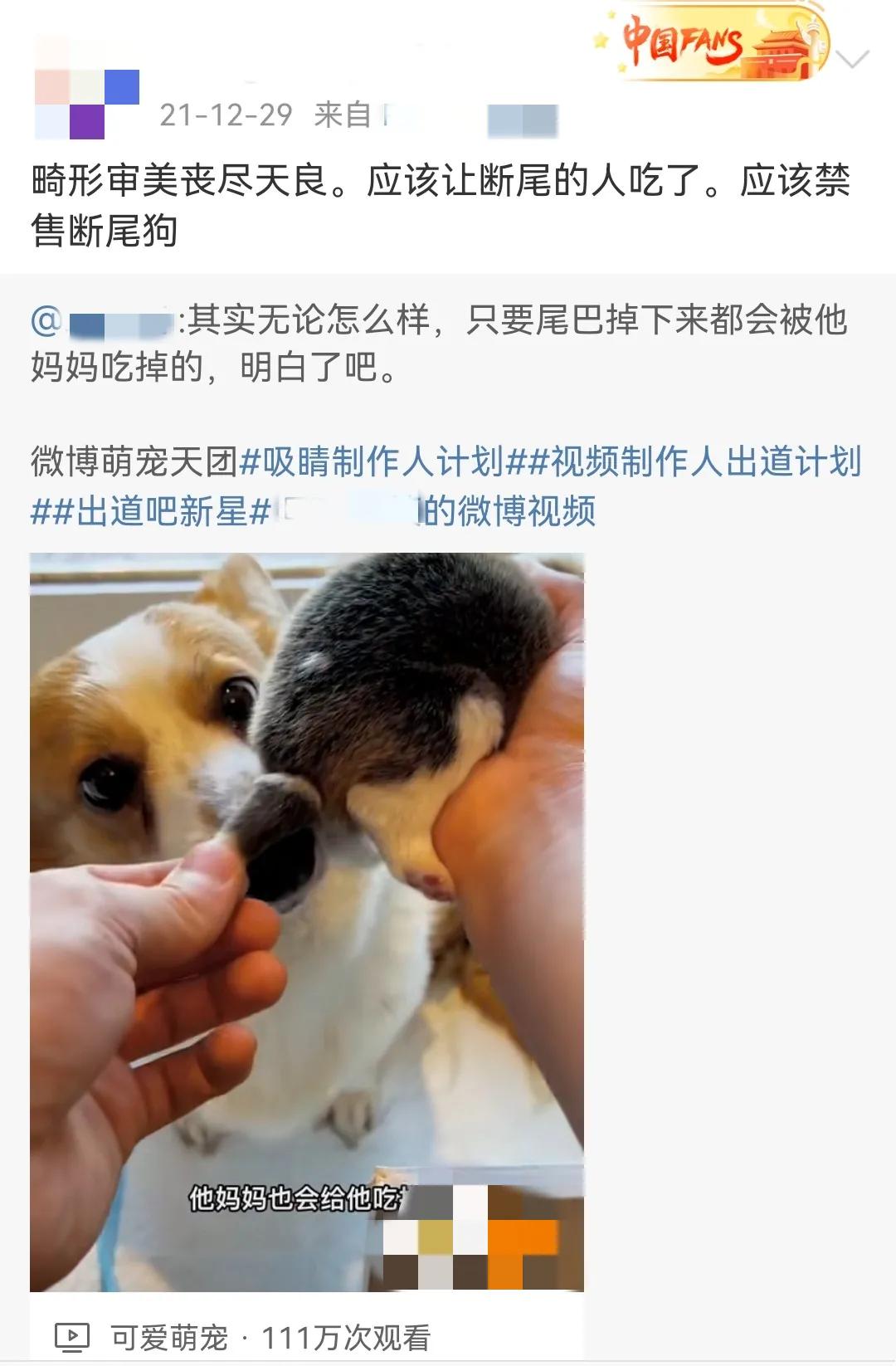 这样的阴间猫狗审美，早该翻车了