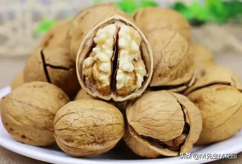 各种不同的蔬菜水果,不同颜色的蔬菜水果