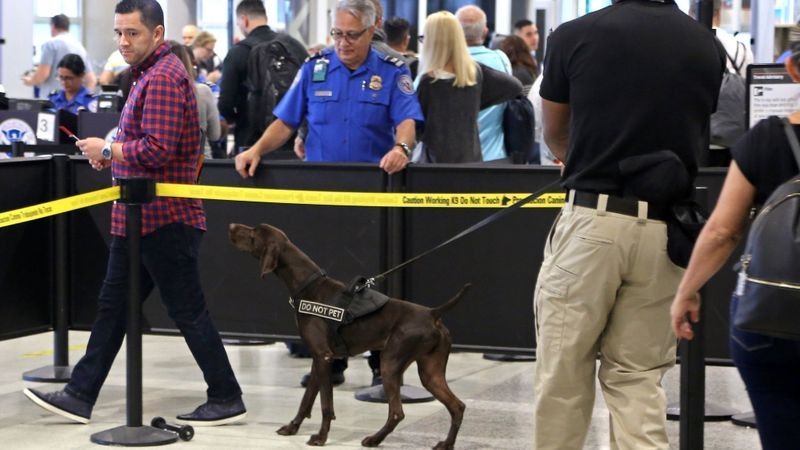 过海关容易被查吗,过海关被例行检查