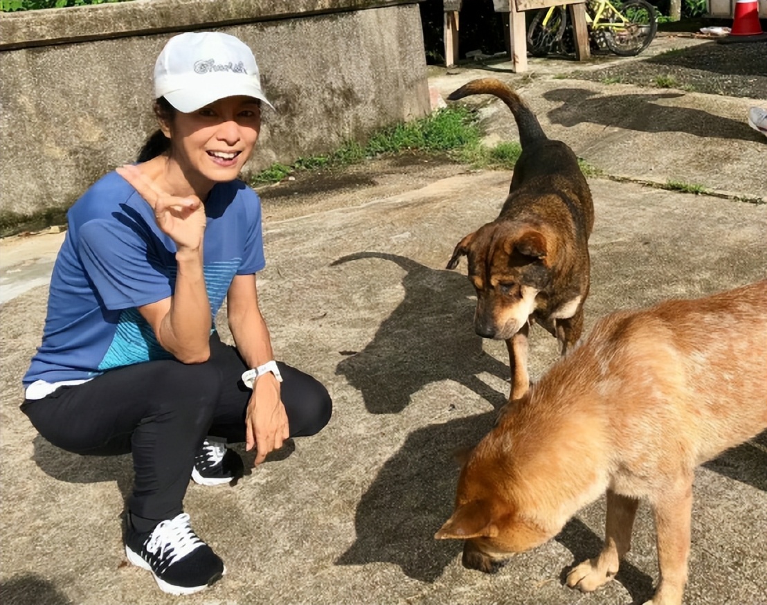 大侠霍元甲1983老版霍元甲谁扮演,大侠霍元甲人物全图集