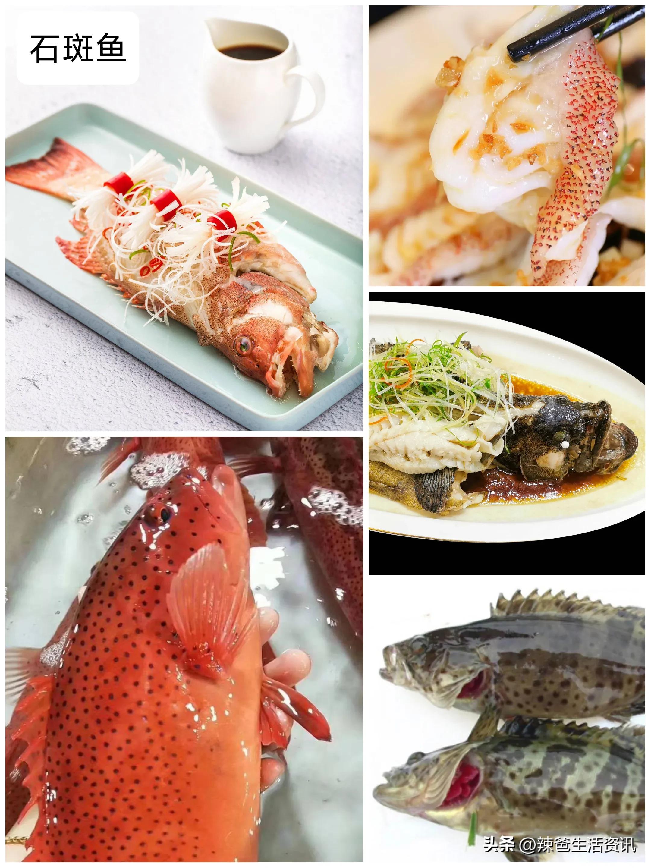 家庭大餐做什么海鱼好吃,沿海海鱼家常烧法20道经典家常菜