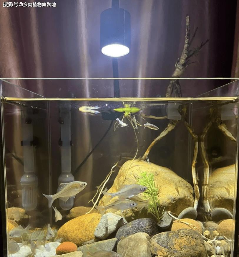 在卧室摆放的小物品,卧室四件套什么颜色有助于睡眠