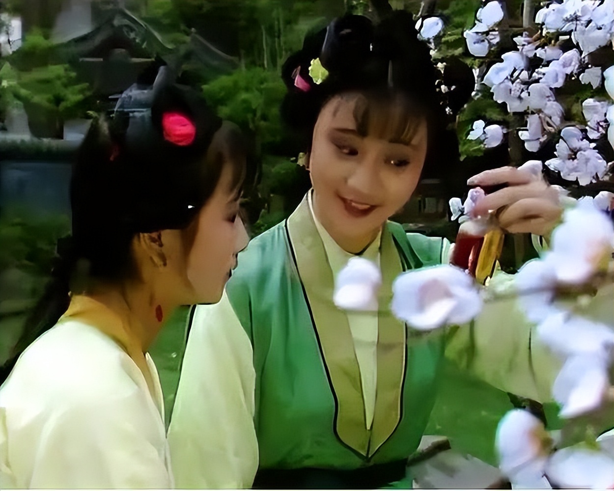 红楼梦讲的就是内讧,红楼梦里面的乱象