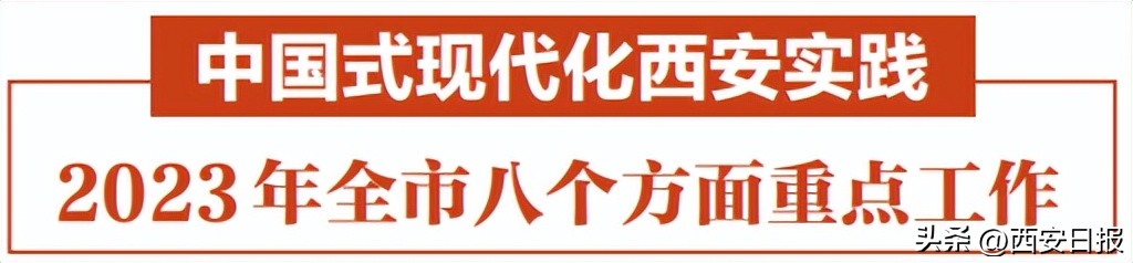 从一个面团到一碗好面，这个“国民级美食”你了解多少？