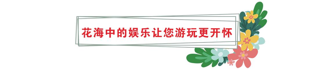 花卡特惠,新春钜惠不容错过