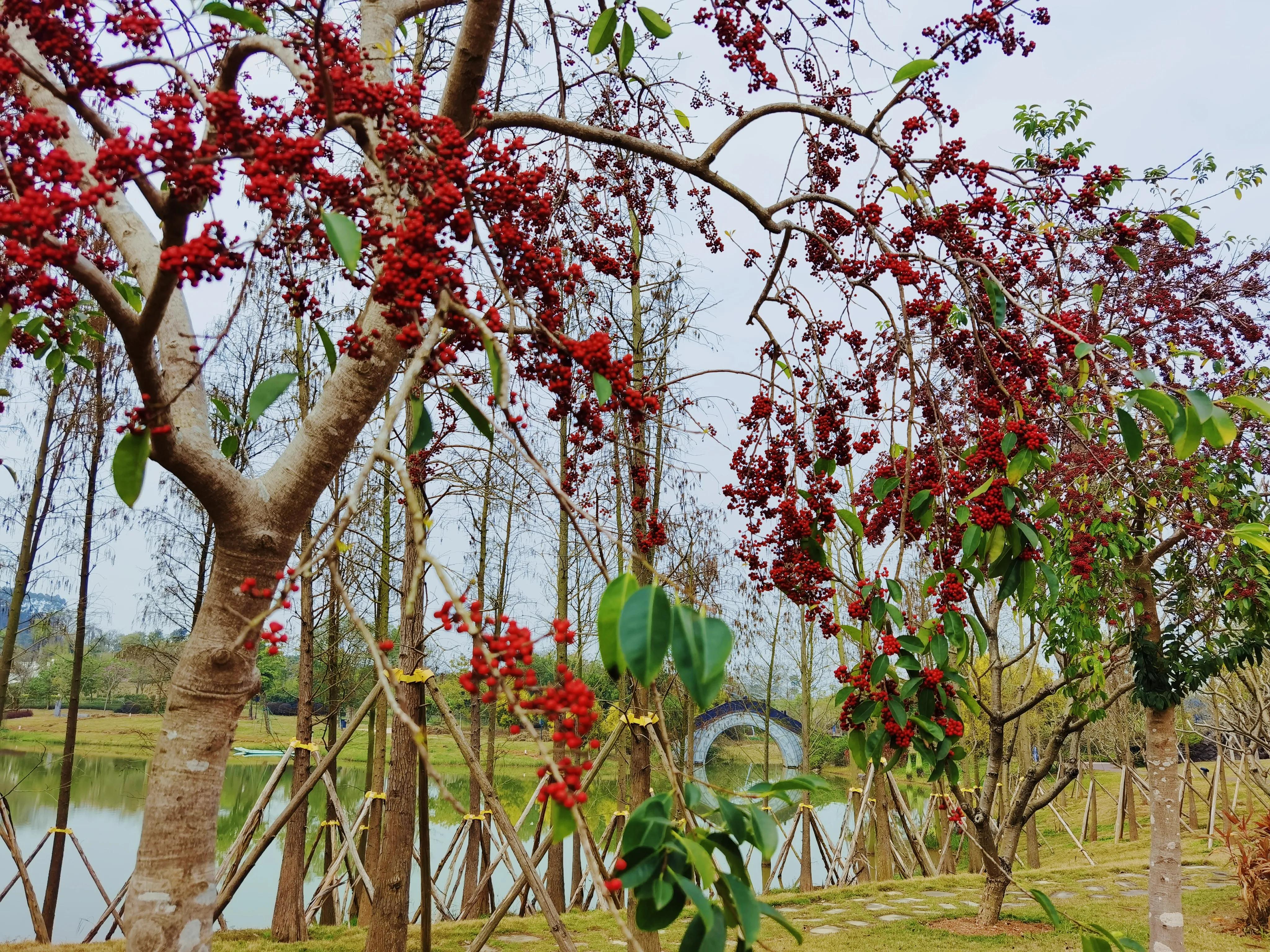 南宁的新南北方饮食差异,一个北方人的印象