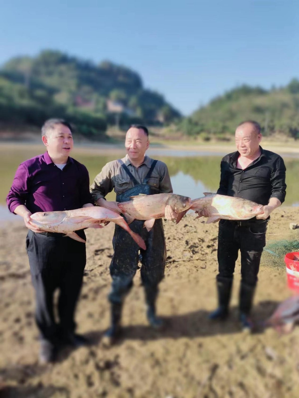 冬日捕鱼现场,冬日捕鱼卢龙县