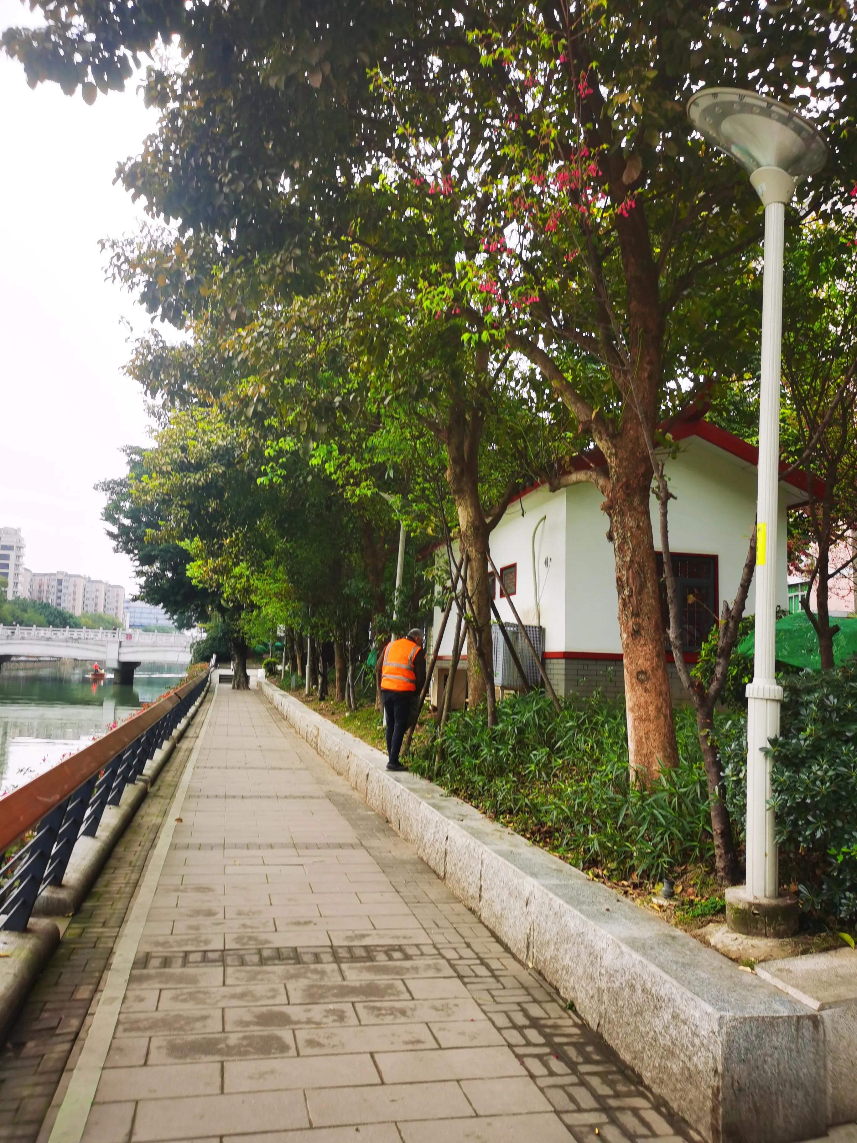 漫步在温泉河湿地公园,漫步福州静谧与繁华