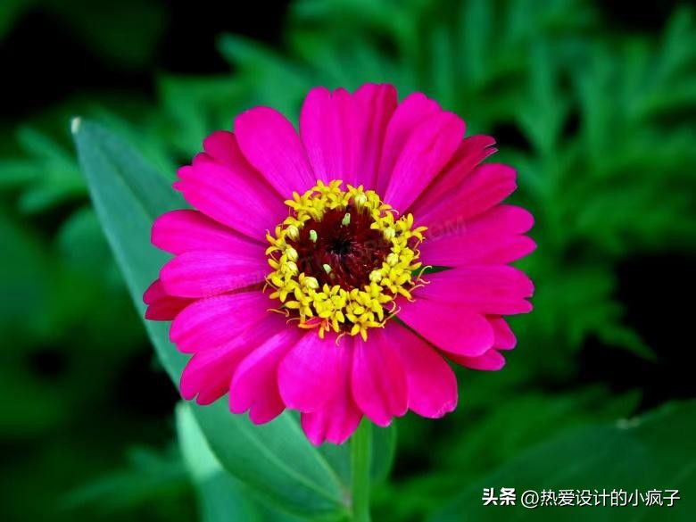 心情语录人生感悟做人做事,值得摘抄的热爱生活的温柔句子