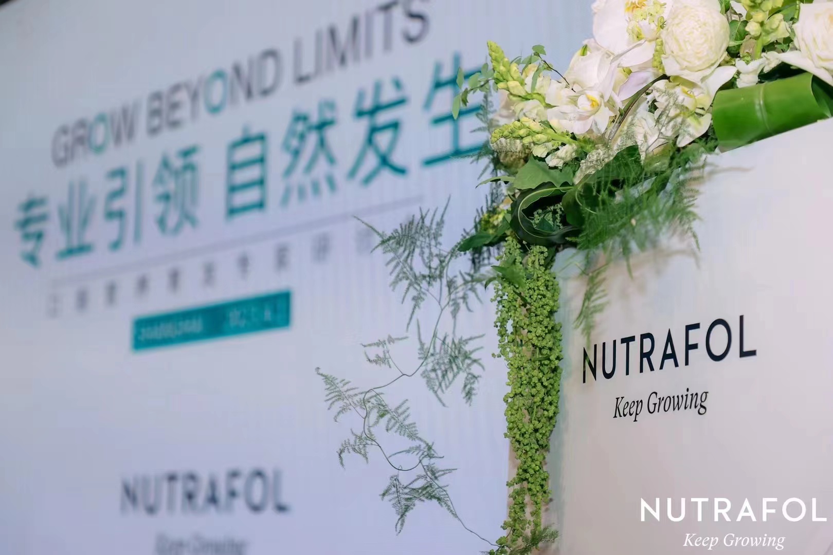 鑱斿悎鍒╁崕nutrafolnf榛勯噾鑳跺泭,鑱斿悎鍒╁崕nutrafol榛勯噾鑳跺泭娴嬭瘎