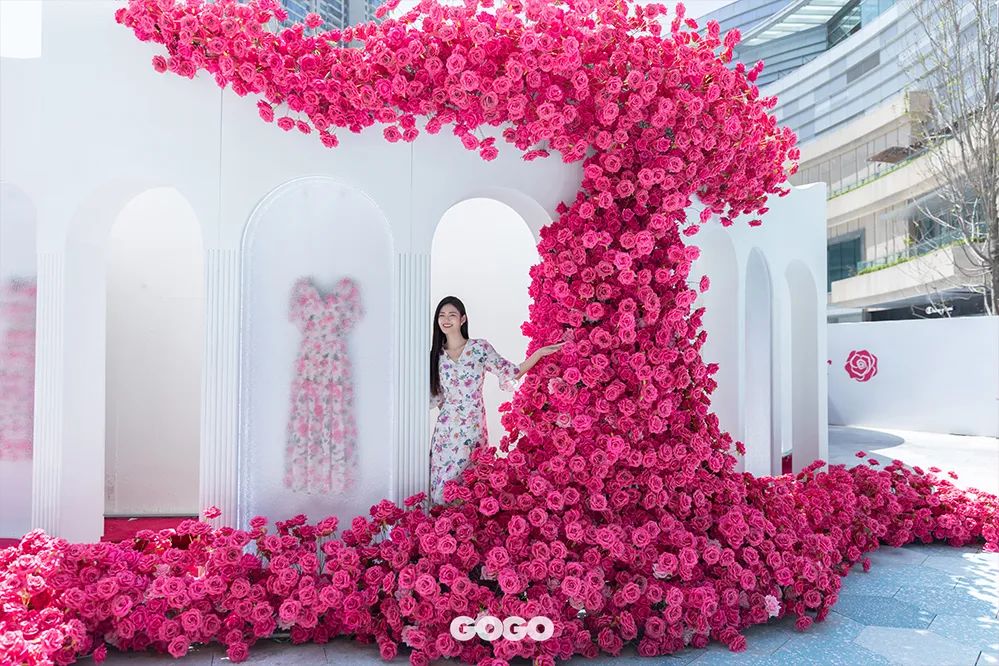 带你去看玫瑰花海,带你看玫瑰花海