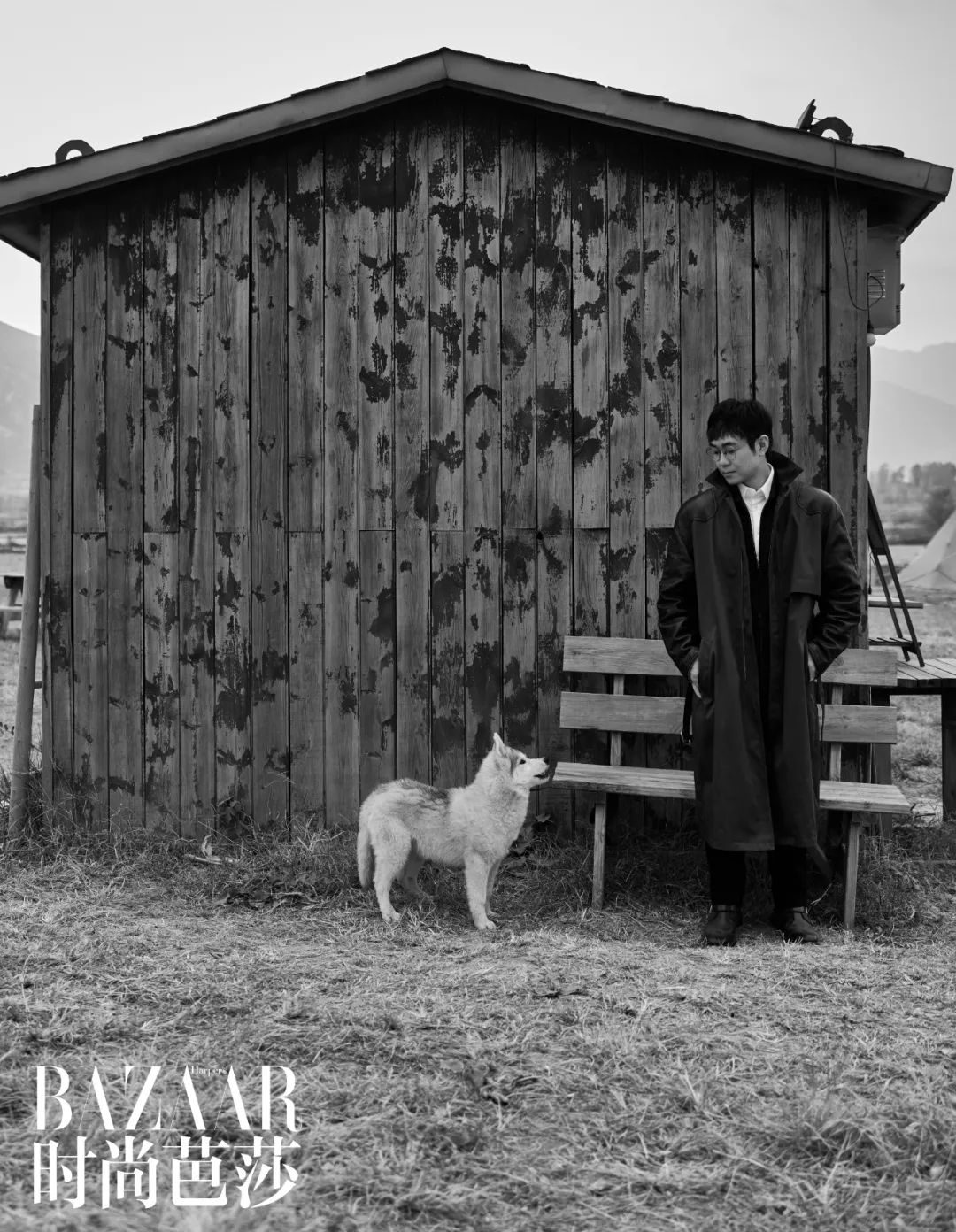 大鹏的所有剧,大鹏的精彩电影