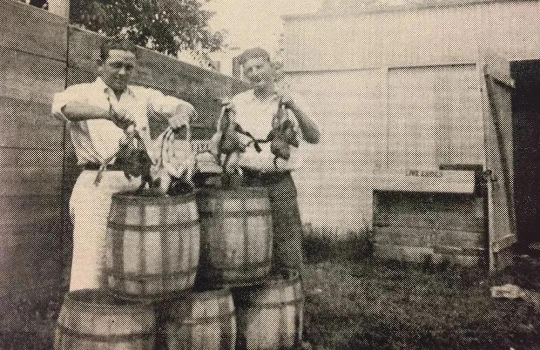 10年6.88万吨野生青蛙端上餐桌，欧美绅士们，请别把青蛙吃灭绝了