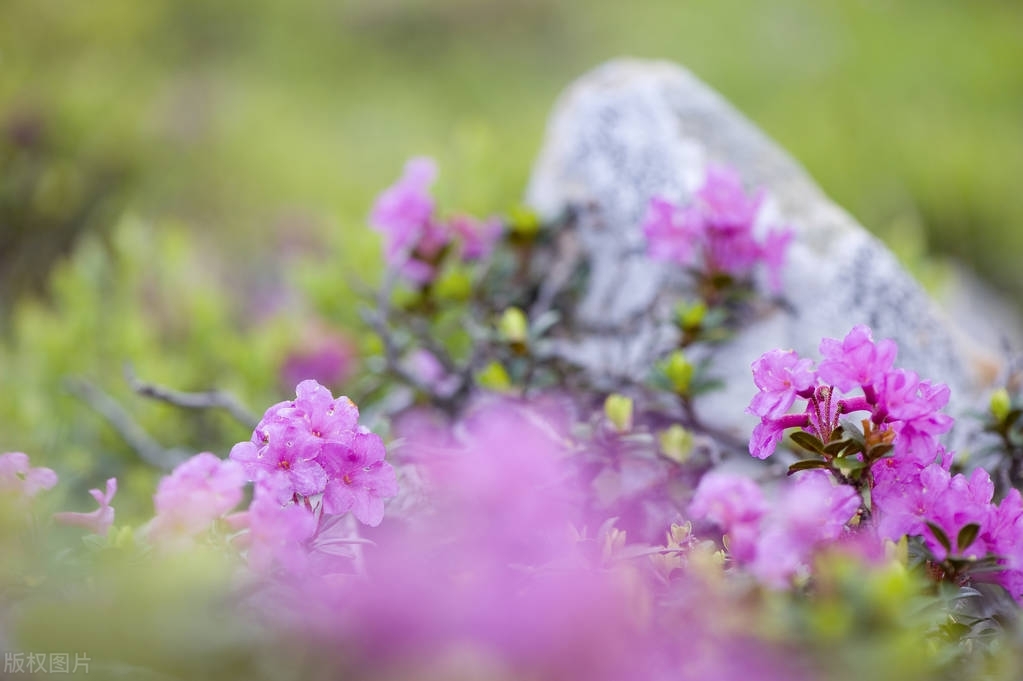 他一早起来就晕头晕脑以为高血压犯了，去药店一测发现与血压无关