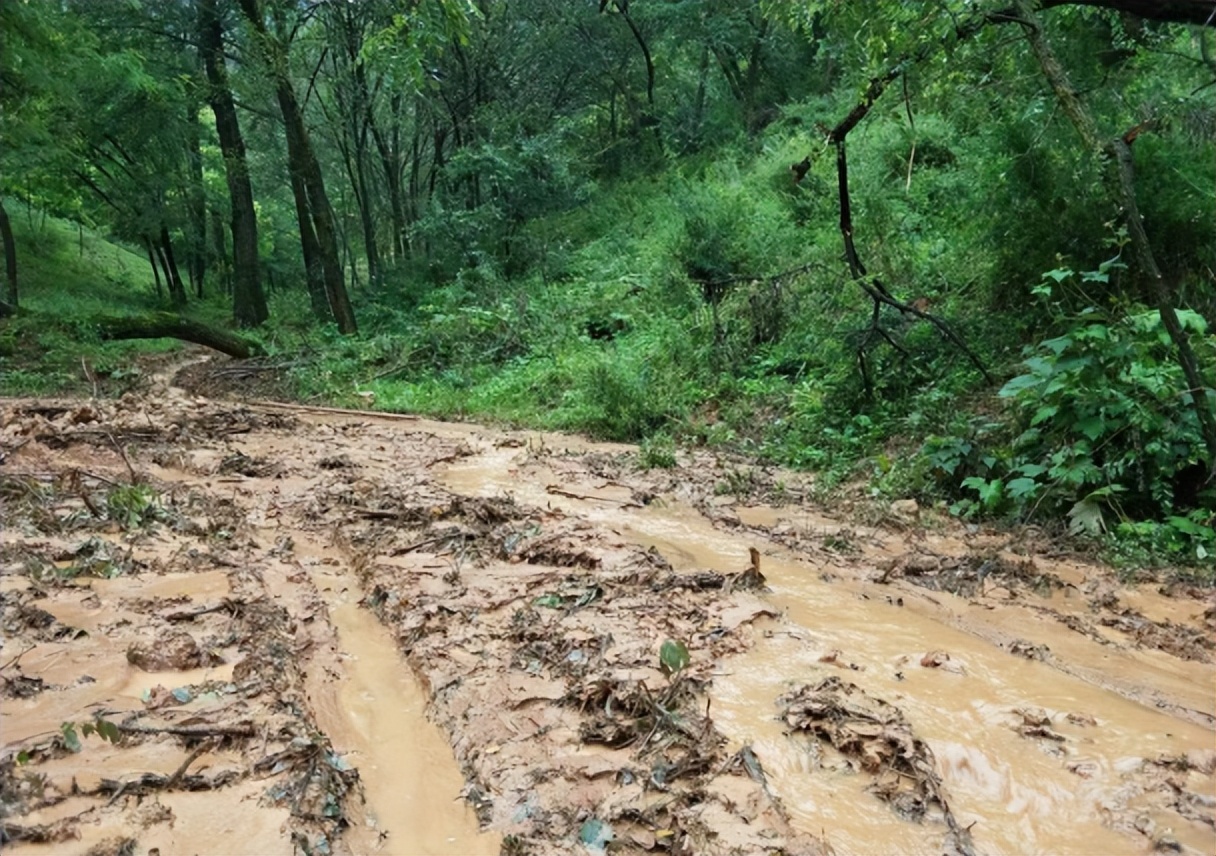 积极反俄的芬兰，现状如何？断气断电不说，经济也面临危机