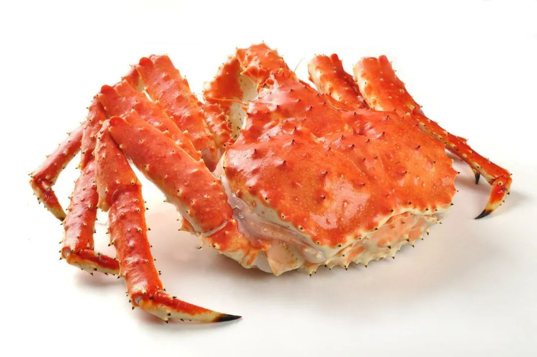 为什么不能吃冷冻螃蟹,没死时候冷冻的螃蟹能吃吗