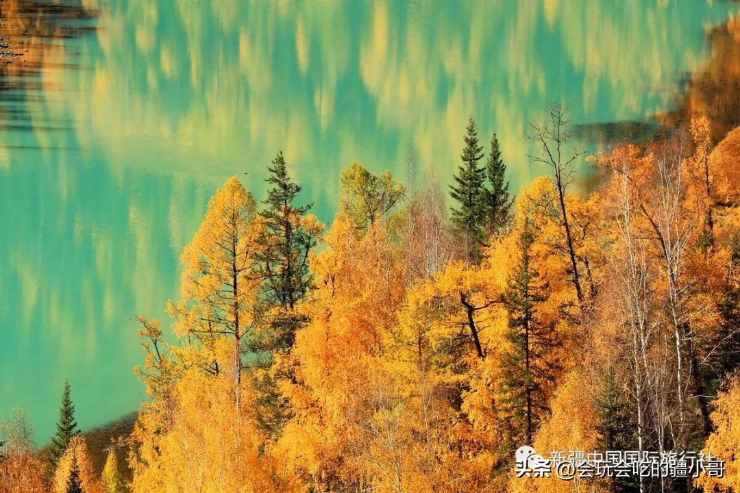 2023国内最适合秋游的地方！退休必看、人少实惠！去了就不想回家