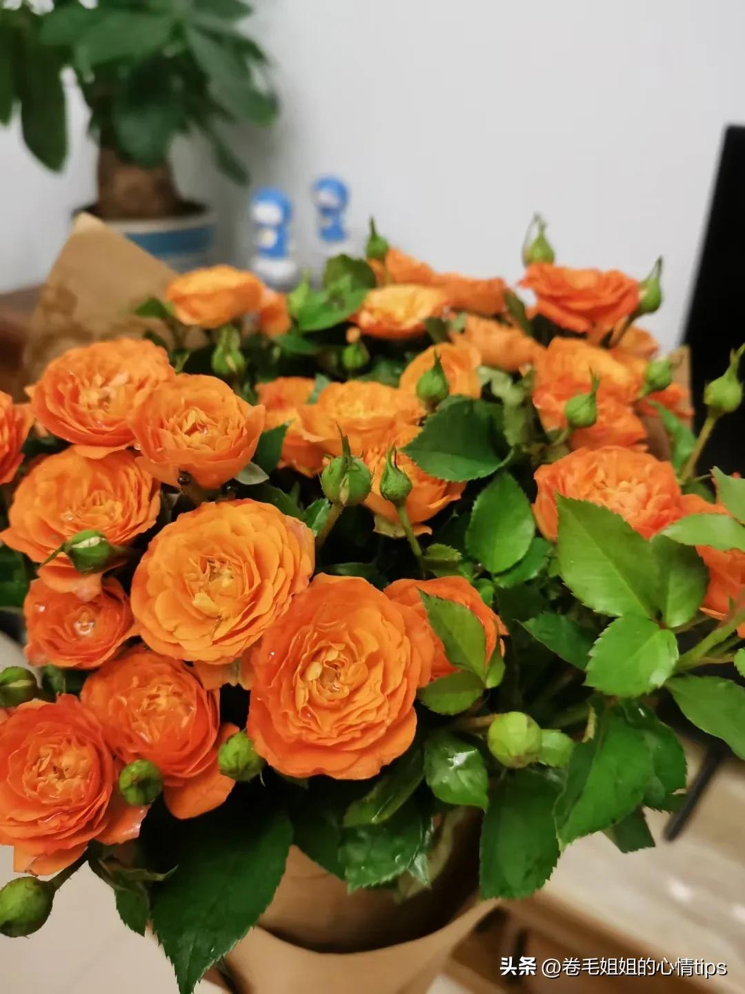 你期待的情人节是什么味道的？