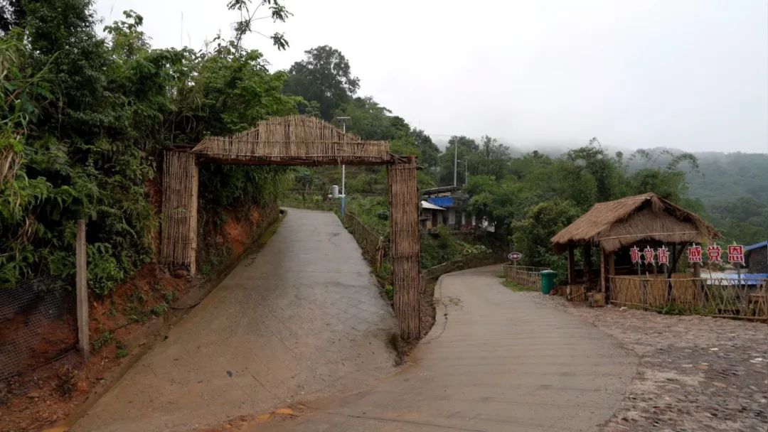 绿春乡村振兴,绿春乡村振兴工作