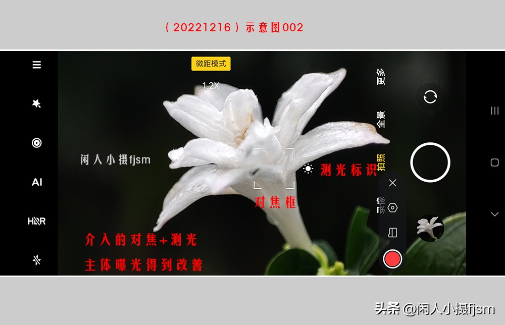 手机拍摄微距人像教程,关于手机微距摄影的一些小技巧