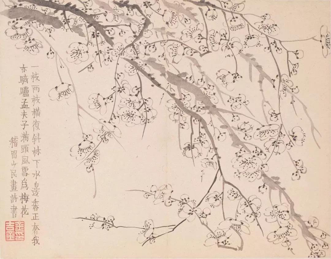 清代九大名家花鸟册页欣赏,清朝九大名家花鸟山水图