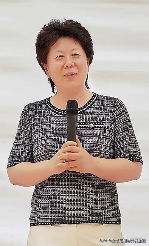 伊莱雅集团直播,伊莱雅集团