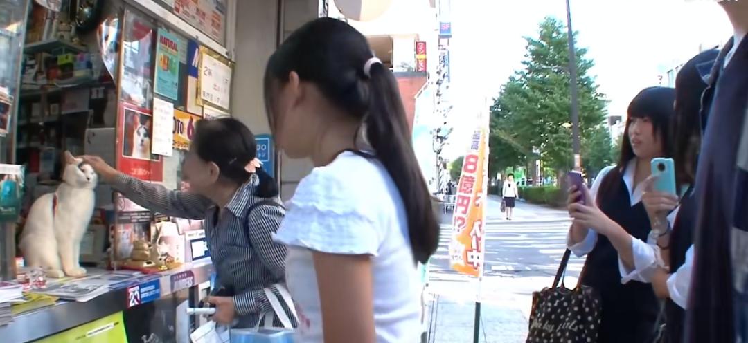 招财喵赚钱,帮主人赚钱的招财猫视频