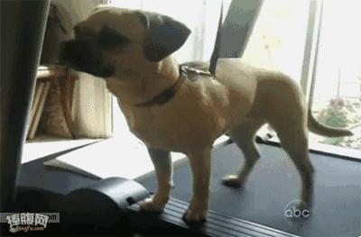 澳洲海运和直邮时效,澳洲海运目前状况