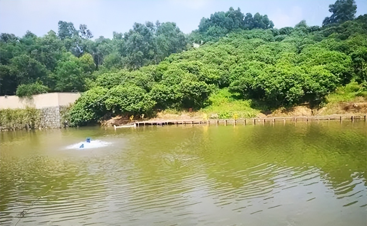 深圳鱼获多的钓鱼场,深圳最新钓鱼地点推荐