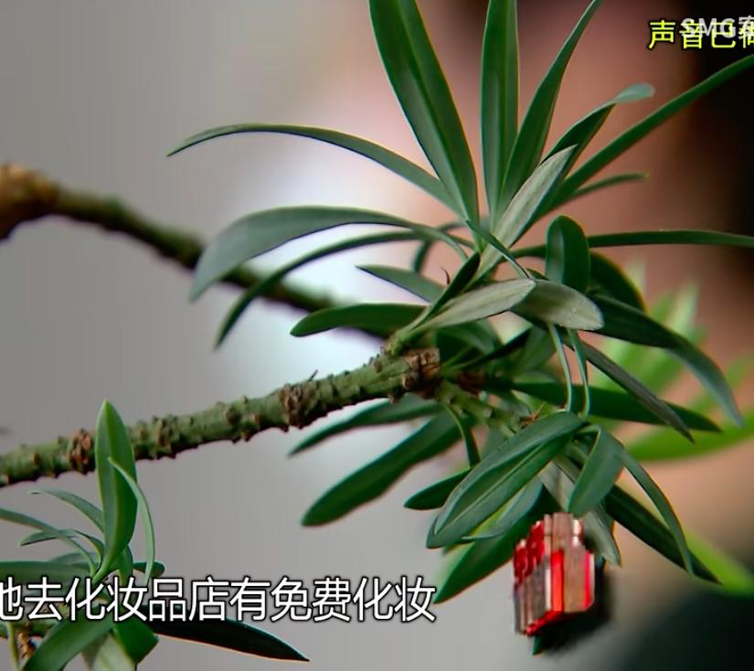 2022年20岁女孩靠出卖“肉体”，3年想赚500万，只赚100万就被抓