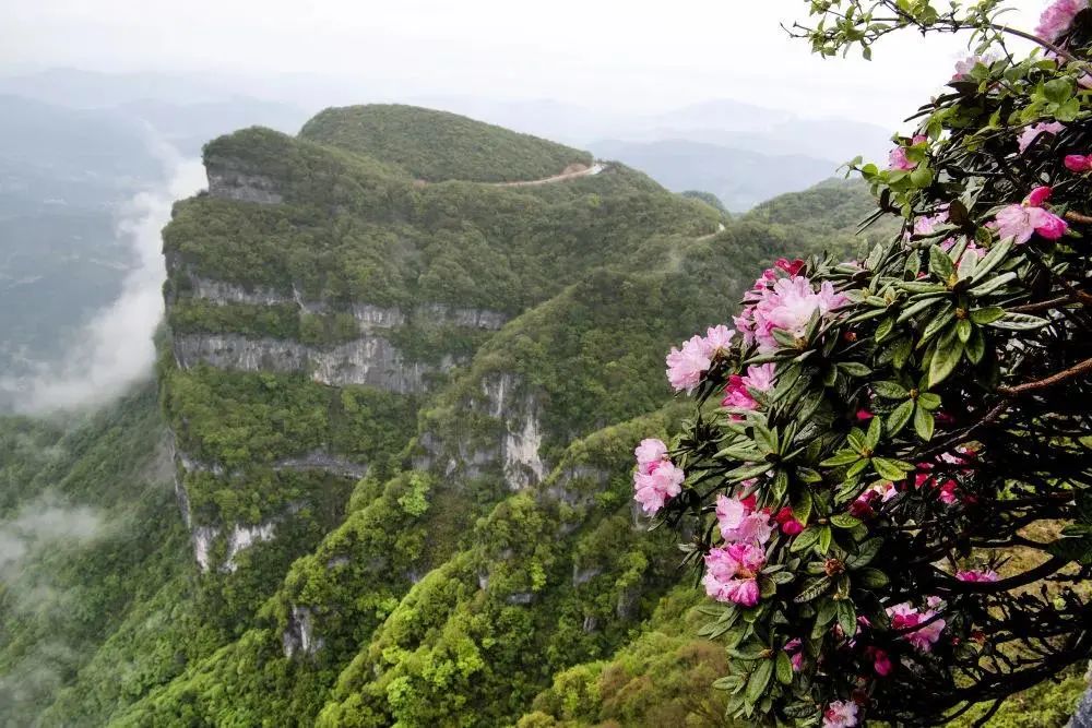 五一小长假汉中两天出游攻略,五一汉中自驾旅行攻略