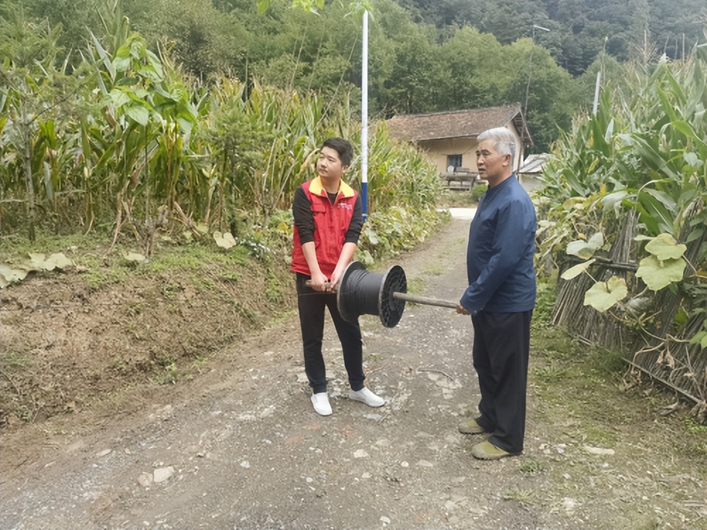 国网凤县供电公司：麝过青山草木香——国网凤县公司驻留凤关镇沙江寺村工作队乡村振兴工作手记