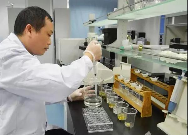 酱酒乱象的原因,劣质酱酒泛滥