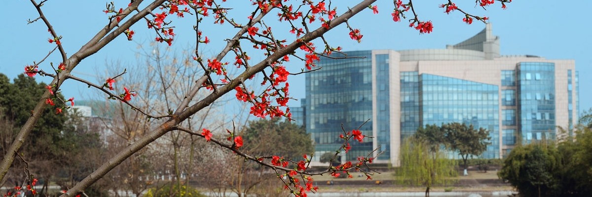 川大学霸寝室全员保研,姐妹花考上川大本硕博连读