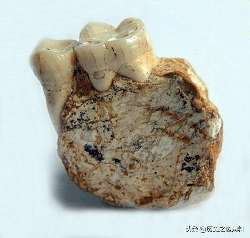 日本三大人种的起源,日本人种起源与演变