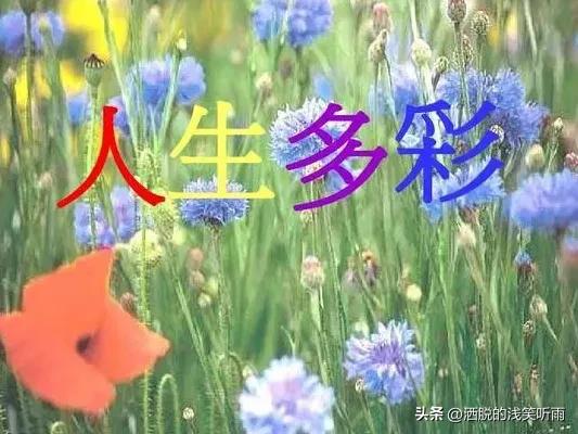 对轻舟已过万重山的理解,轻舟已过万重山的人生感触和启示